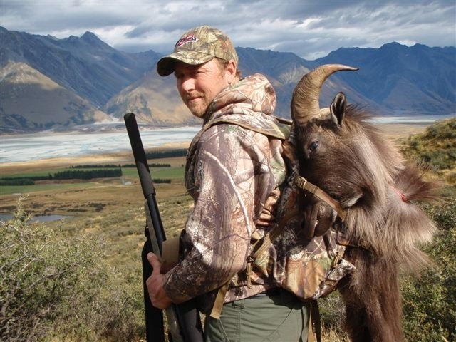 350 Class Red Stag and Bull Tahr Hunt
