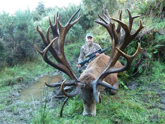 500 Class Red Stag Hunt